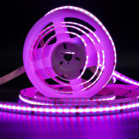 RGBW LED Strip Lights